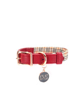 Houndbury Luxe Bundle