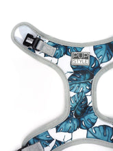 Palm Vibes Harness (Seconds)