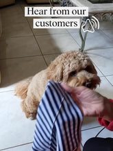 Greys for Days Bandana