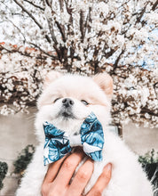 Palm Vibes Bow (Seconds)